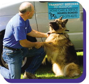 transport van and dog